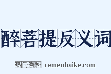 醉菩提反义词是什么意思的图片